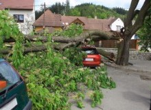 Kwikfynd Tree Cutting Services
foxhow